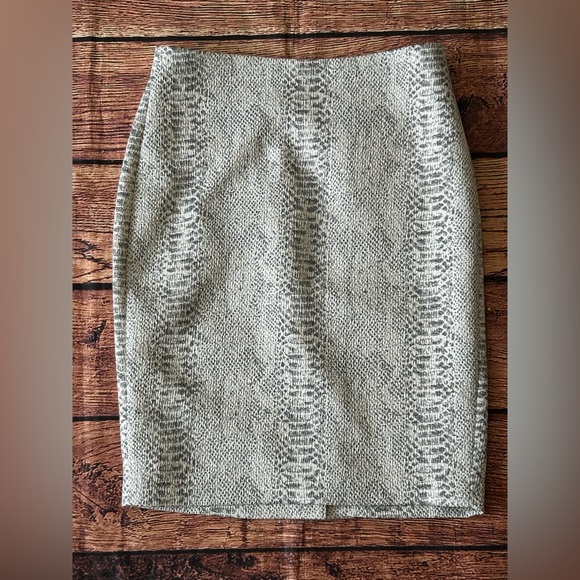 Ann‎ Taylor Silver Knee-Length Pencil Skirt for Cocktail - Picture 1 of 13